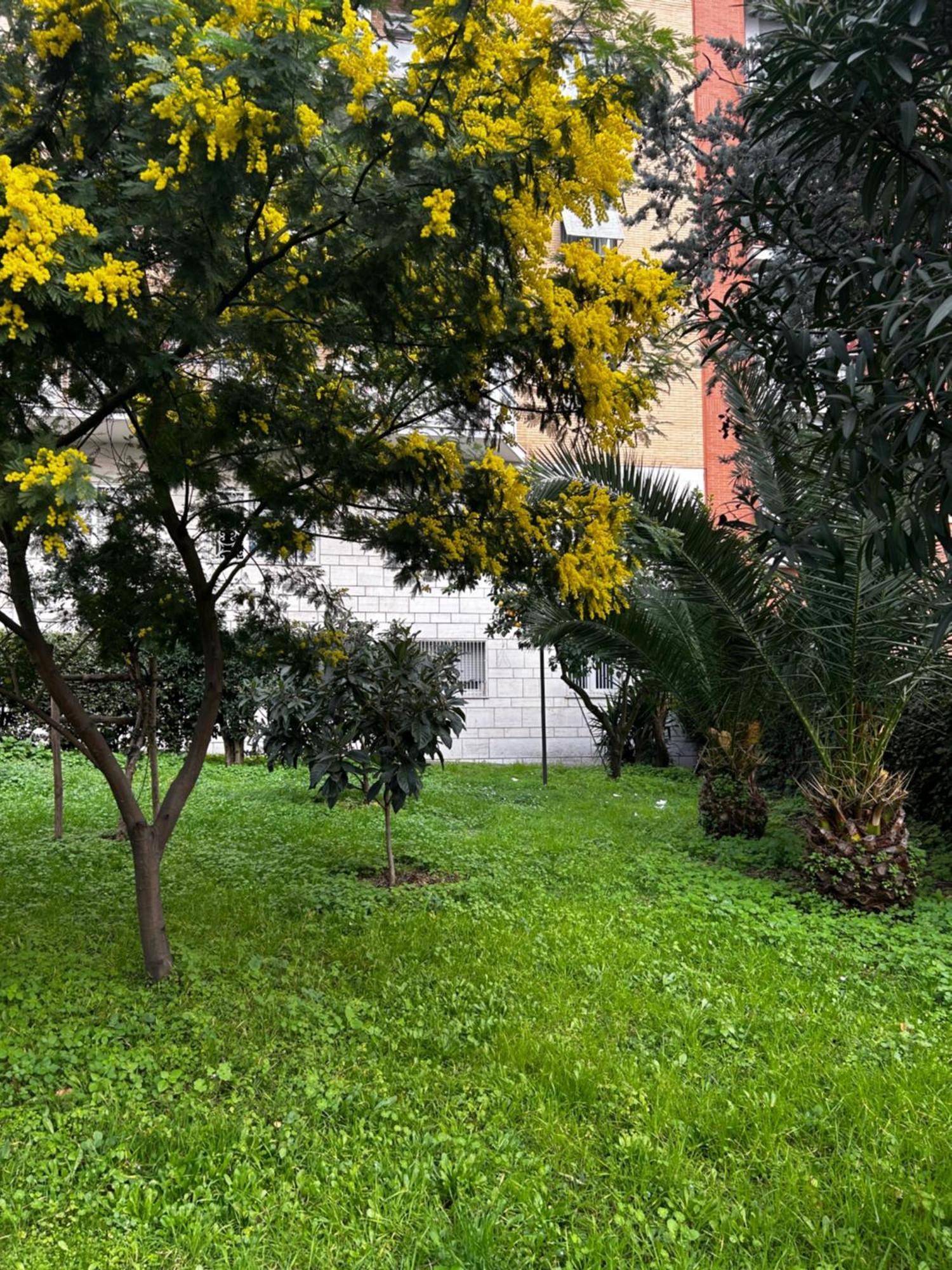 Bam Bam Tiburtina Guesthouse Rzym Zewnętrze zdjęcie